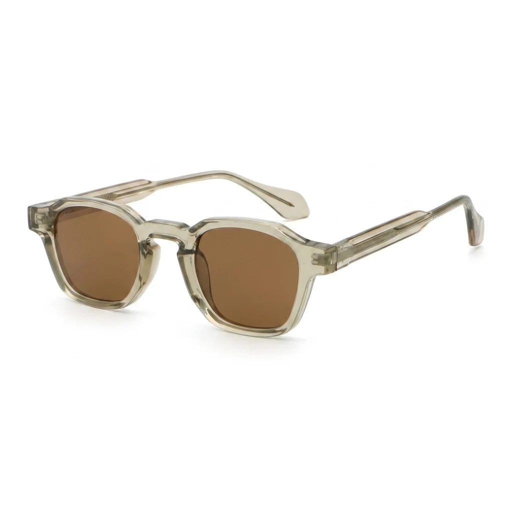 TS-V2 Brown Gray Frame Brown Lens - 34